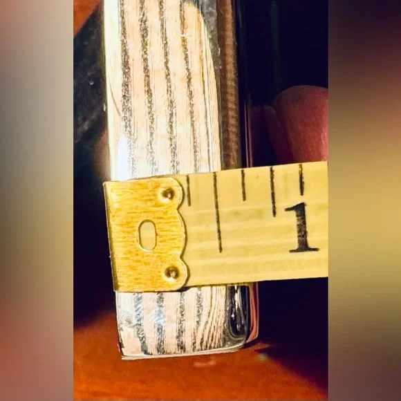 NWOT 2 Pottery Barn Silver Tone Frames Winter Theme skis antlers preppy cabin - Picture 13 of 15